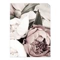 Picture of Pink Bloom _GroupedProduct_Rectangle_Portrait_Photography _GroupedProduct_Rectangle_Portrait_Unframed_Print_Only_