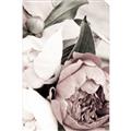 Picture of Pink Bloom _GroupedProduct_Rectangle_Portrait_Photography _GroupedProduct_Rectangle_Portrait_Unframed_Print_Only_