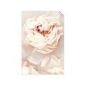 Picture of Peony Flowers _GroupedProduct_Rectangle_Portrait_Photography _GroupedProduct_Rectangle_Portrait_Unframed_Print_Only_