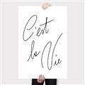Picture of C'est La Vie II _GroupedProduct_Rectangle_Portrait_Canvas_