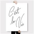 Picture of C'est La Vie II _GroupedProduct_Rectangle_Portrait_Canvas_