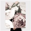 Picture of Pink Bloom _GroupedProduct_Rectangle_Portrait_Photography _GroupedProduct_Rectangle_Portrait_Canvas_