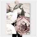 Picture of Pink Bloom _GroupedProduct_Rectangle_Portrait_Photography _GroupedProduct_Rectangle_Portrait_Canvas_