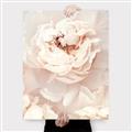 Picture of Peony Flowers _GroupedProduct_Rectangle_Portrait_Photography _GroupedProduct_Rectangle_Portrait_Canvas_