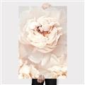 Picture of Peony Flowers _GroupedProduct_Rectangle_Portrait_Photography _GroupedProduct_Rectangle_Portrait_Canvas_