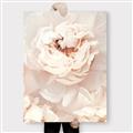 Picture of Peony Flowers _GroupedProduct_Rectangle_Portrait_Photography _GroupedProduct_Rectangle_Portrait_Canvas_
