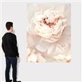 Picture of Peony Flowers _GroupedProduct_Rectangle_Portrait_Photography _GroupedProduct_Rectangle_Portrait_Canvas_