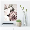 Picture of Pink Bloom _GroupedProduct_Rectangle_Portrait_Photography _GroupedProduct_Rectangle_Portrait_Canvas_