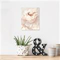 Picture of Peony Flowers _GroupedProduct_Rectangle_Portrait_Photography _GroupedProduct_Rectangle_Portrait_Canvas_