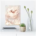 Picture of Peony Flowers _GroupedProduct_Rectangle_Portrait_Photography _GroupedProduct_Rectangle_Portrait_Canvas_