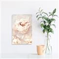 Picture of Peony Flowers _GroupedProduct_Rectangle_Portrait_Photography _GroupedProduct_Rectangle_Portrait_Canvas_