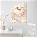 Picture of Peony Flowers _GroupedProduct_Rectangle_Portrait_Photography _GroupedProduct_Rectangle_Portrait_Canvas_