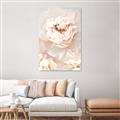 Picture of Peony Flowers _GroupedProduct_Rectangle_Portrait_Photography _GroupedProduct_Rectangle_Portrait_Canvas_