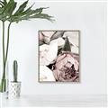 Picture of Pink Bloom _GroupedProduct_Rectangle_Portrait_Photography _GroupedProduct_Rectangle_Portrait_Canvas_Framed_