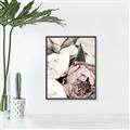 Picture of Pink Bloom _GroupedProduct_Rectangle_Portrait_Photography _GroupedProduct_Rectangle_Portrait_Canvas_Framed_