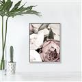 Picture of Pink Bloom _GroupedProduct_Rectangle_Portrait_Photography _GroupedProduct_Rectangle_Portrait_Canvas_Framed_