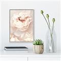 Picture of Peony Flowers _GroupedProduct_Rectangle_Portrait_Photography _GroupedProduct_Rectangle_Portrait_Canvas_Framed_