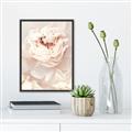 Picture of Peony Flowers _GroupedProduct_Rectangle_Portrait_Photography _GroupedProduct_Rectangle_Portrait_Canvas_Framed_