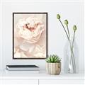 Picture of Peony Flowers _GroupedProduct_Rectangle_Portrait_Photography _GroupedProduct_Rectangle_Portrait_Canvas_Framed_