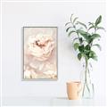 Picture of Peony Flowers _GroupedProduct_Rectangle_Portrait_Photography _GroupedProduct_Rectangle_Portrait_Canvas_Framed_