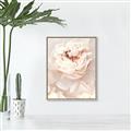 Picture of Peony Flowers _GroupedProduct_Rectangle_Portrait_Photography _GroupedProduct_Rectangle_Portrait_Canvas_Framed_