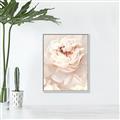 Picture of Peony Flowers _GroupedProduct_Rectangle_Portrait_Photography _GroupedProduct_Rectangle_Portrait_Canvas_Framed_