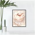 Picture of Peony Flowers _GroupedProduct_Rectangle_Portrait_Photography _GroupedProduct_Rectangle_Portrait_Canvas_Framed_