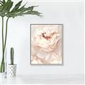 Picture of Peony Flowers _GroupedProduct_Rectangle_Portrait_Photography _GroupedProduct_Rectangle_Portrait_Canvas_Framed_