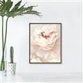 Picture of Peony Flowers _GroupedProduct_Rectangle_Portrait_Photography _GroupedProduct_Rectangle_Portrait_Canvas_Framed_