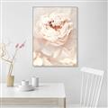 Picture of Peony Flowers _GroupedProduct_Rectangle_Portrait_Photography _GroupedProduct_Rectangle_Portrait_Canvas_Framed_