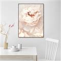 Picture of Peony Flowers _GroupedProduct_Rectangle_Portrait_Photography _GroupedProduct_Rectangle_Portrait_Canvas_Framed_