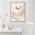 Picture of Peony Flowers _GroupedProduct_Rectangle_Portrait_Photography _GroupedProduct_Rectangle_Portrait_Canvas_Framed_