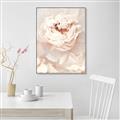 Picture of Peony Flowers _GroupedProduct_Rectangle_Portrait_Photography _GroupedProduct_Rectangle_Portrait_Canvas_Framed_