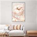 Picture of Peony Flowers _GroupedProduct_Rectangle_Portrait_Photography _GroupedProduct_Rectangle_Portrait_Canvas_Framed_