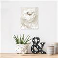 Picture of Peony Flowers _GroupedProduct_Rectangle_Portrait_Photography _GroupedProduct_Rectangle_Portrait_Unframed_Print_Only_