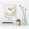 Picture of Peony Flowers _GroupedProduct_Rectangle_Portrait_Photography _GroupedProduct_Rectangle_Portrait_Unframed_Print_Only_
