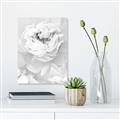 Picture of Peony Flowers _GroupedProduct_Rectangle_Portrait_Photography _GroupedProduct_Rectangle_Portrait_Unframed_Print_Only_