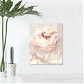 Picture of Peony Flowers _GroupedProduct_Rectangle_Portrait_Photography _GroupedProduct_Rectangle_Portrait_Unframed_Print_Only_