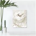 Picture of Peony Flowers _GroupedProduct_Rectangle_Portrait_Photography _GroupedProduct_Rectangle_Portrait_Unframed_Print_Only_