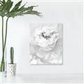Picture of Peony Flowers _GroupedProduct_Rectangle_Portrait_Photography _GroupedProduct_Rectangle_Portrait_Unframed_Print_Only_