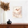 Picture of Peony Flowers _GroupedProduct_Rectangle_Portrait_Photography _GroupedProduct_Rectangle_Portrait_Unframed_Print_Only_