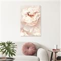 Picture of Peony Flowers _GroupedProduct_Rectangle_Portrait_Photography _GroupedProduct_Rectangle_Portrait_Unframed_Print_Only_