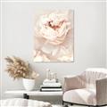 Picture of Peony Flowers _GroupedProduct_Rectangle_Portrait_Photography _GroupedProduct_Rectangle_Portrait_Unframed_Print_Only_