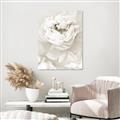 Picture of Peony Flowers _GroupedProduct_Rectangle_Portrait_Photography _GroupedProduct_Rectangle_Portrait_Unframed_Print_Only_