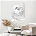 Picture of Peony Flowers _GroupedProduct_Rectangle_Portrait_Photography _GroupedProduct_Rectangle_Portrait_Unframed_Print_Only_