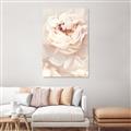 Picture of Peony Flowers _GroupedProduct_Rectangle_Portrait_Photography _GroupedProduct_Rectangle_Portrait_Unframed_Print_Only_