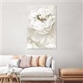 Picture of Peony Flowers _GroupedProduct_Rectangle_Portrait_Photography _GroupedProduct_Rectangle_Portrait_Unframed_Print_Only_