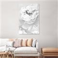 Picture of Peony Flowers _GroupedProduct_Rectangle_Portrait_Photography _GroupedProduct_Rectangle_Portrait_Unframed_Print_Only_