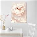 Picture of Peony Flowers _GroupedProduct_Rectangle_Portrait_Photography _GroupedProduct_Rectangle_Portrait_Unframed_Print_Only_