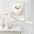 Picture of Peony Flowers _GroupedProduct_Rectangle_Portrait_Photography _GroupedProduct_Rectangle_Portrait_Unframed_Print_Only_